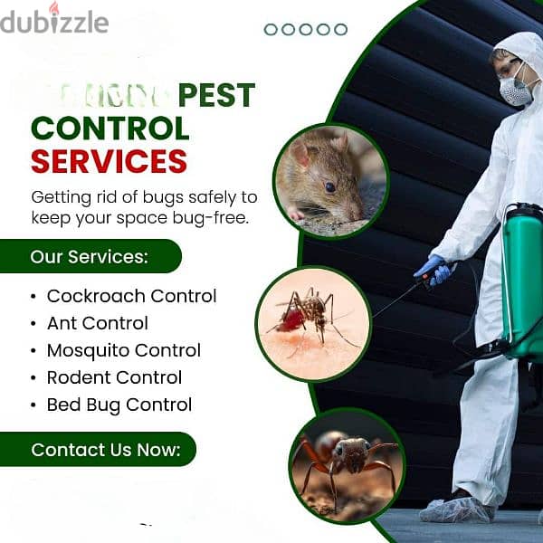 pest control cocroches'bed'bugs'mosquito'flat'villa cleaning services 1