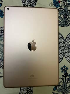 Apple iPad 10.2inch (2020 - 8th Gen) Wi-Fi 32GB Rose Gold