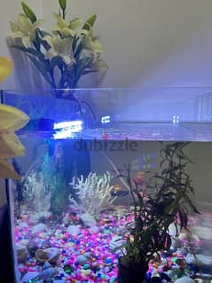 aquarium for sale 0