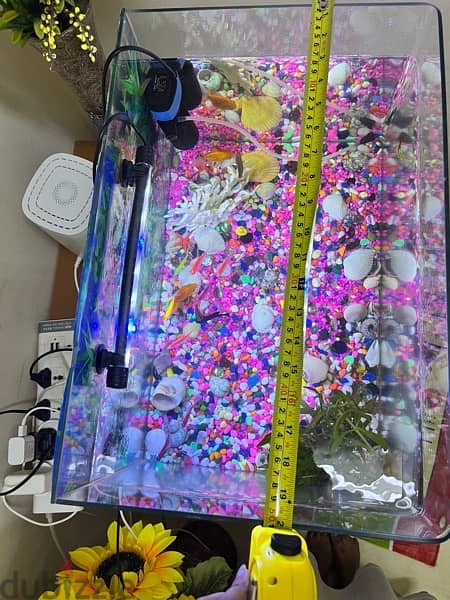 aquarium for sale 1