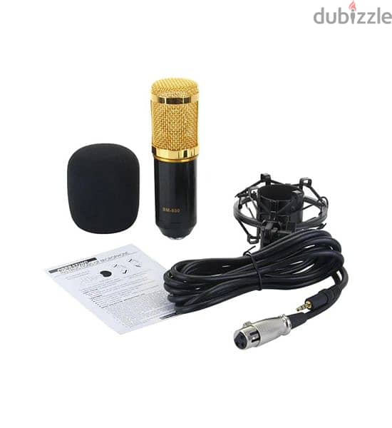 Condenser Microphone Set 5