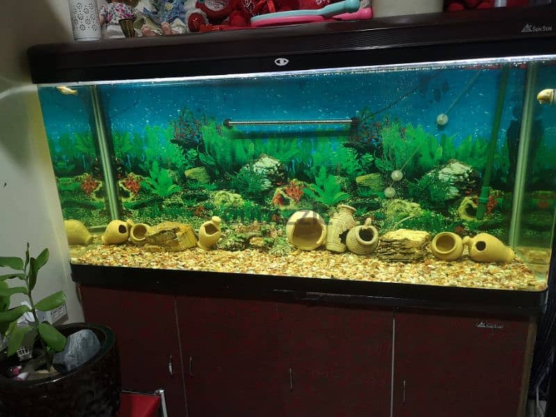 fish tank 0