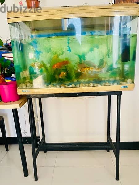 Big Fish Tank with Fish for Sale 1