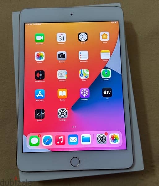 iPad mini 4th generation 2