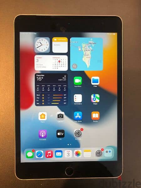 IPAD MINI 4 0