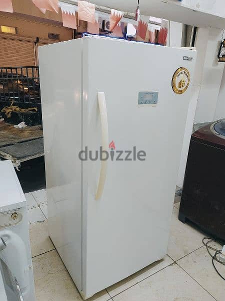 SMARTECH Upright Freezer 3