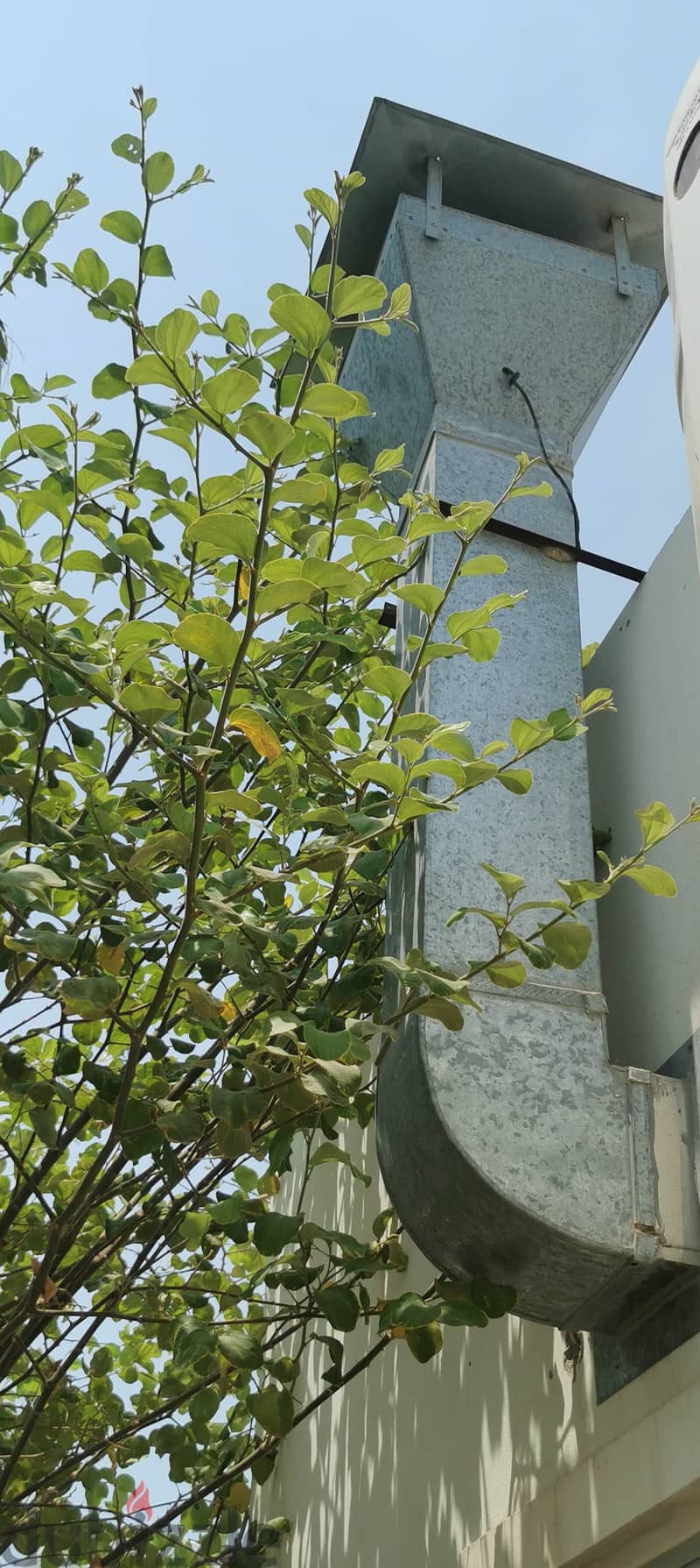 Kitchen hood with chimney 1