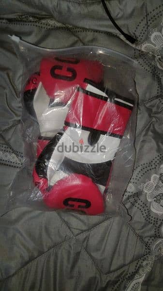 new boxing gloves قفازات ملاكمة جديدة 0