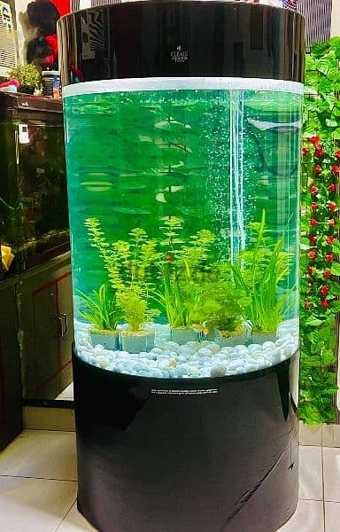 fish tank round shape 0