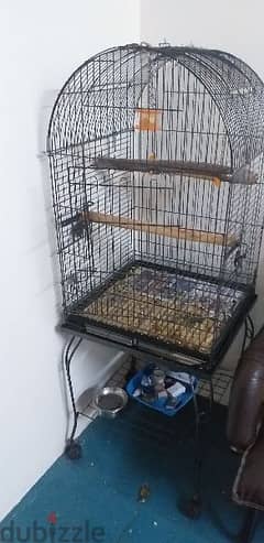 cage for sale pls call WhatsApp (38810781)