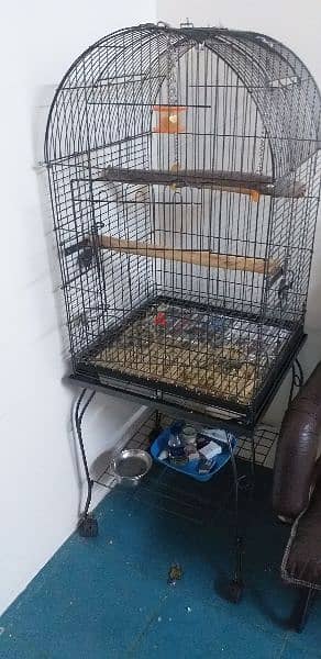 cage for sale pls call WhatsApp (38810781) 1