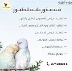 ترويض طيور 0