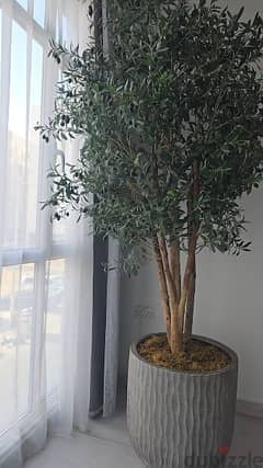 Olive trees artificial size 250cm 0