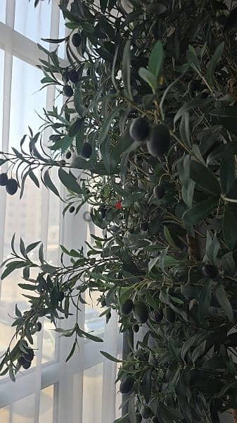 Olive trees artificial size 250cm 3