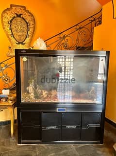 fish aquarium for sale