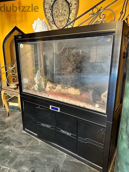 fish aquarium for sale 3