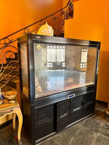 fish aquarium for sale 4