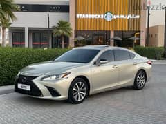 2019 model Lexus ES