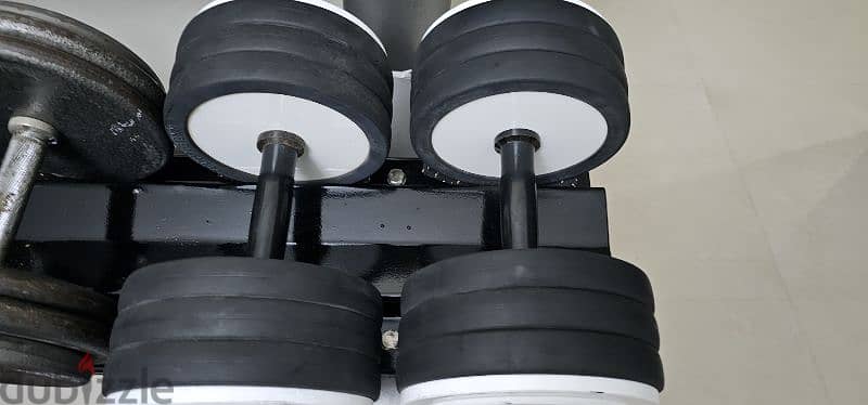 Technogym dumbbells 24kg×2 + 30kg×2 1