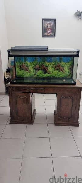 Boyu Fish Tank 0