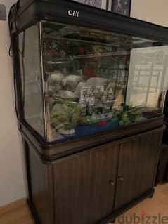 C. A. Y fish tank / aquarium