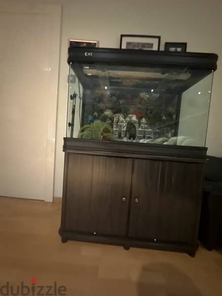 C. A. Y fish tank / aquarium 3