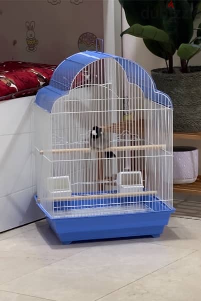 Cage For Sale 0