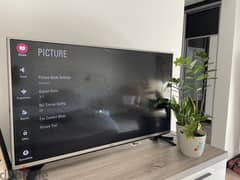 LG 43in Full HD LED T. V.