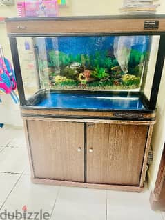 fish tank with stand 0