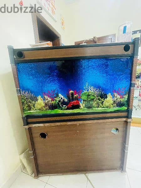 fish tank with stand 1