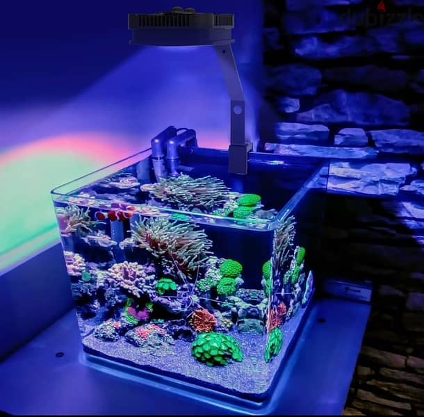 Marine aquarium WRGB light 2