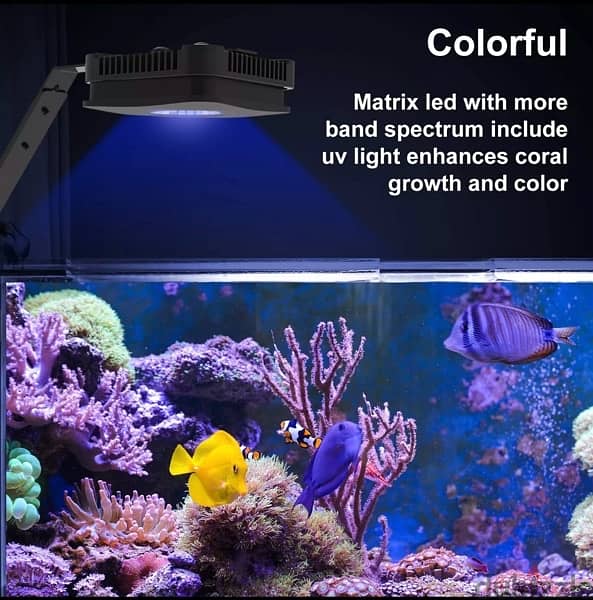 Marine aquarium WRGB light 4