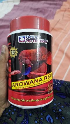 Arowana