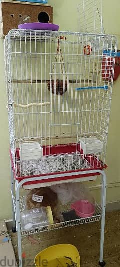 Bird's cage for sale