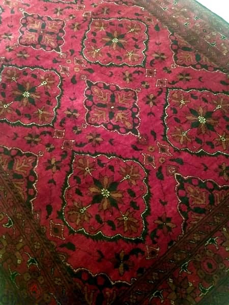 Afghan Red carpet 0