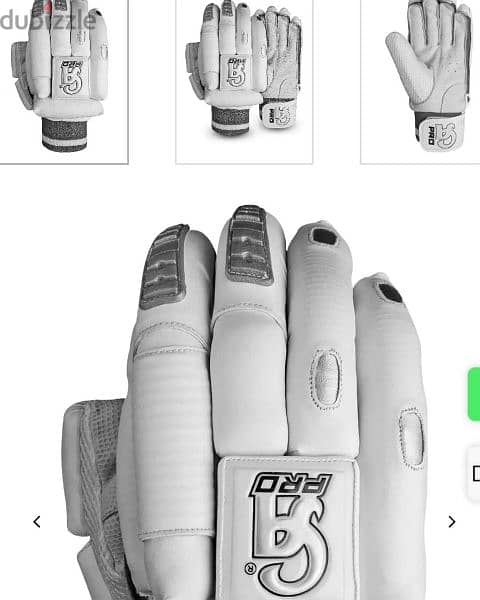 Cricket Bat and Gloves 1