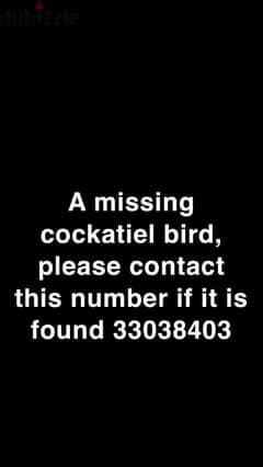 missing bird