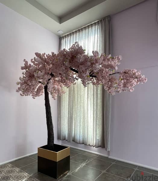 cherry blossom Tree 0