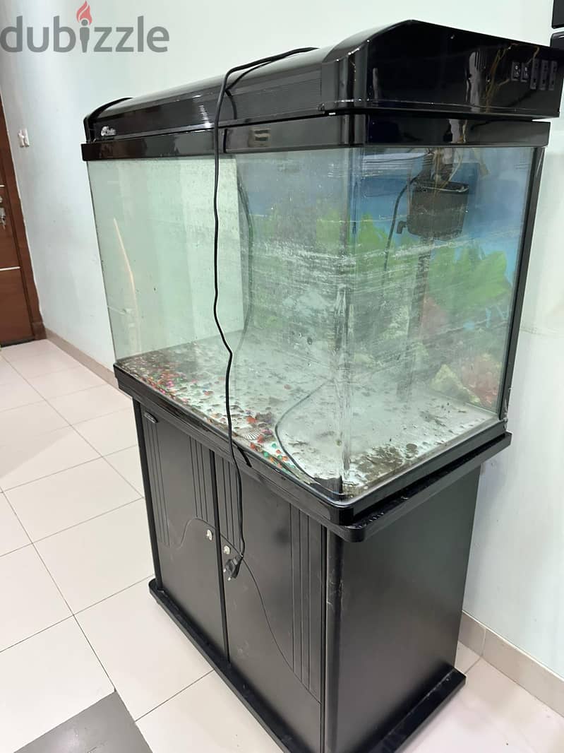 Aquarium for sale with stand 1