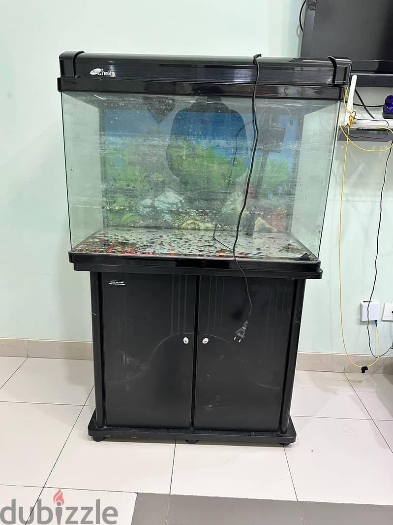 Aquarium for sale with stand 2