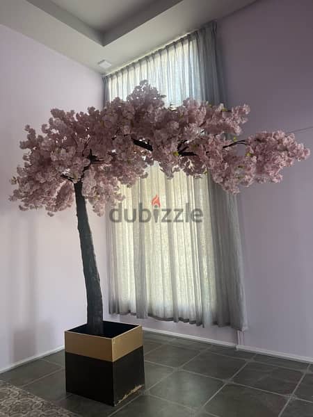 cherry blossom Tree 2