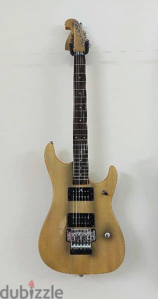 washburn N2 120BD 3