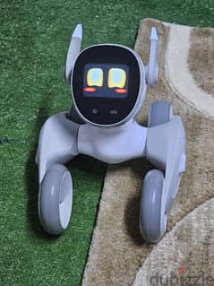 loona robot