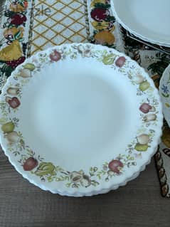 11 assorted dinner plates for immediate collection.