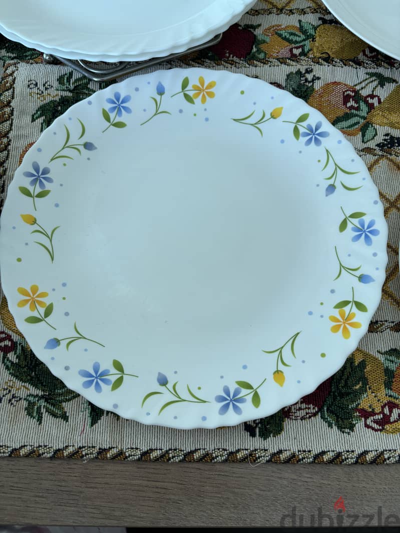 11 assorted dinner plates for immediate collection. 1