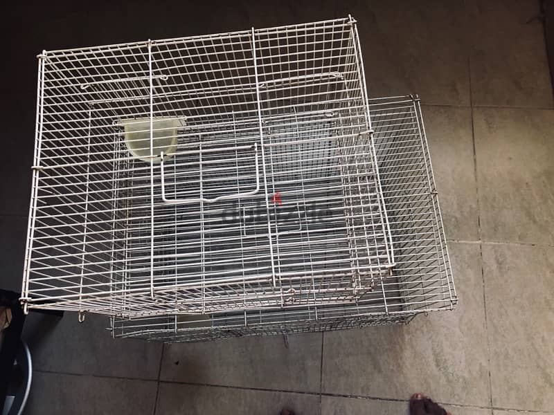 bird cage for sale 1