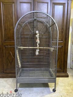 Caseco/Parrot cage for sale