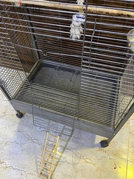 Caseco/Parrot cage for sale 2