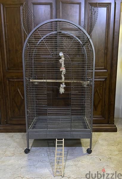 Caseco/Parrot cage for sale 3