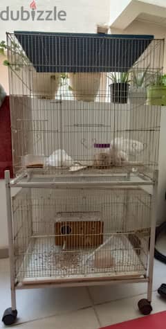 birds cage with roller stand-call or whatsap